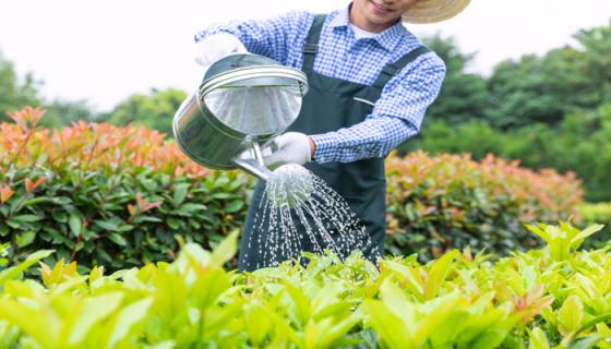 女人梦见浇地水好大