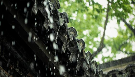 梦见下雨后无路可走