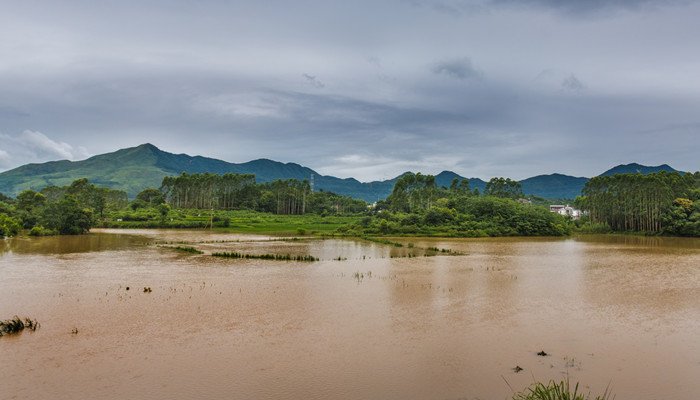 梦见发水淹没道路