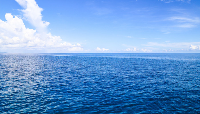 梦见自己沉浸在大海里