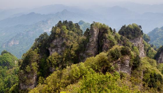 梦见跳下山崖逃跑