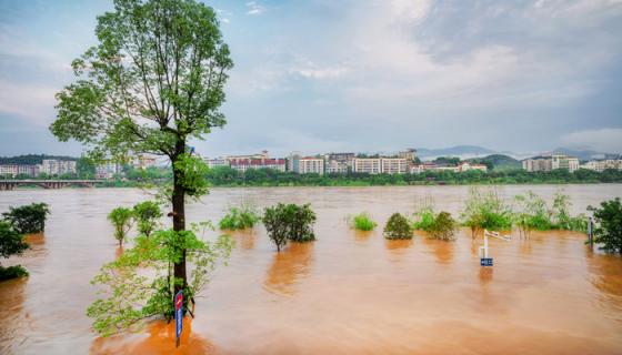 梦见涨大水预示什么周公解梦