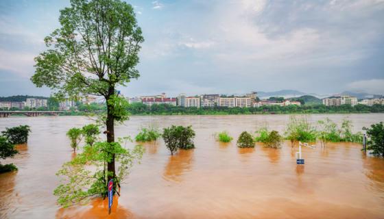 梦见长大洪水是什么意思