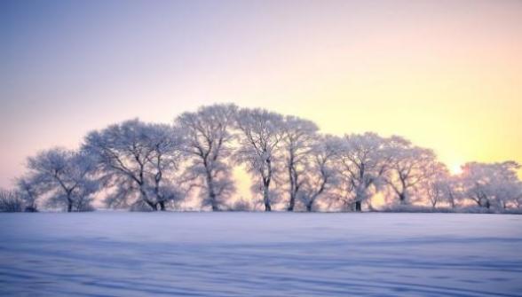 梦见地上厚厚的白雪是什么征兆