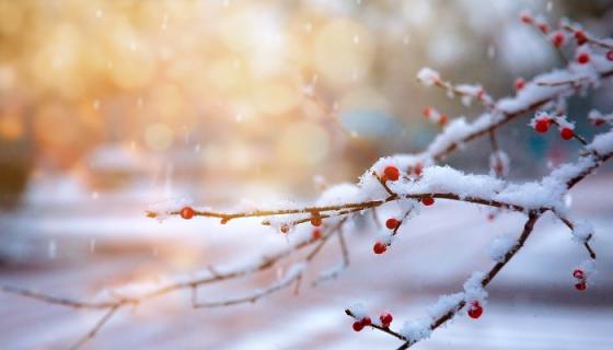 梦见下大雪白茫茫一片是什么意思