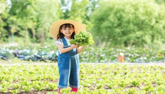 梦见摘蕨菜是什么兆头