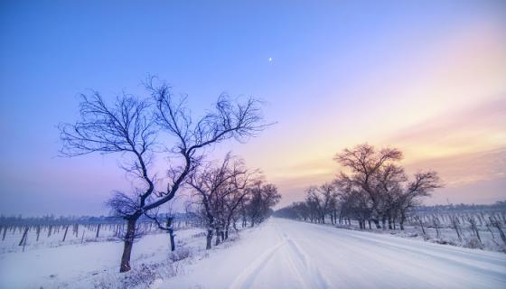 梦见全是雪是什么意思 梦见全是雪有什么预兆