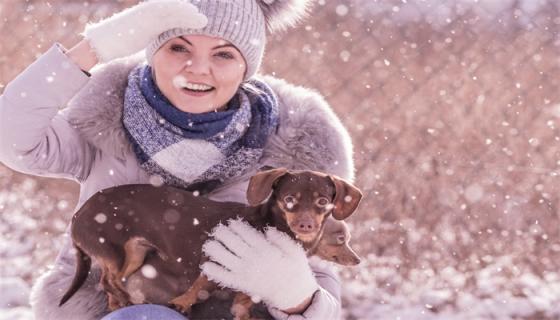 梦见在雪地里走是什么征兆