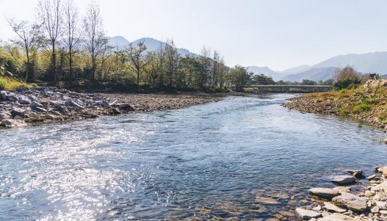 梦见河水上涨是什么预兆 梦见河水上涨是什么意思