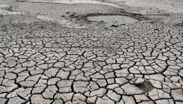 梦见水干涸是什么意思 梦见水干涸有什么预兆