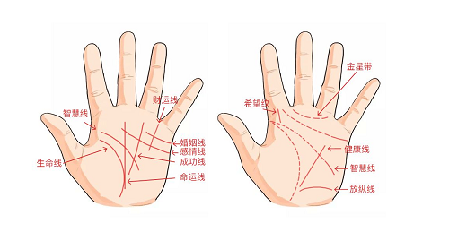 手掌纹路图解 手掌纹路图解男性