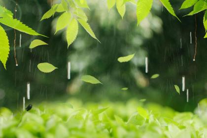 雨水节气的诗词精选大全！关于雨水的歌谣顺口溜