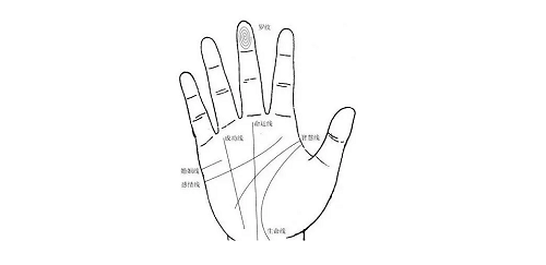 事业线图解女右手详解 事业线图解女右手有分叉