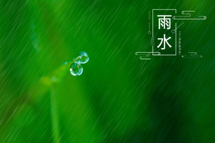 生肖猴出生在雨水节气命运怎么样？好不好？