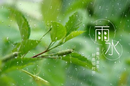 雨水结婚好不好？24节气适合结婚吗