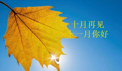 2023年11月黄道吉日查询表 黄历2023年11月黄道吉日查询表