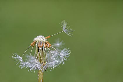 大运劫财合财_劫财合偏财大富