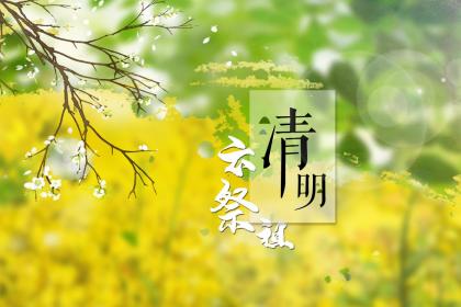 山东清明节先祭什么再拜 第一年清明不上坟吗