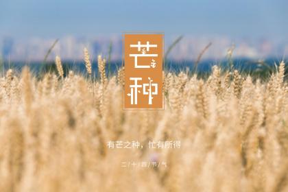 2023年芒种四月十九是吉日吗 这天适合理发剃头吗