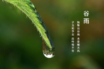 谷雨节气的特点简介 谷雨吃香椿要注意什么