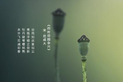 谷雨出生的人好吗 命运怎么样