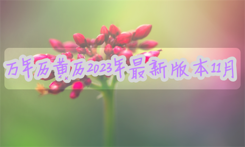 万年历黄历2023年最新版本11月份 万年历黄历2023年最新版本11月