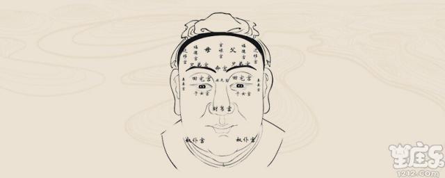 尖下巴