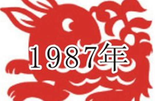 87年是什么命 属兔1987年是什么命