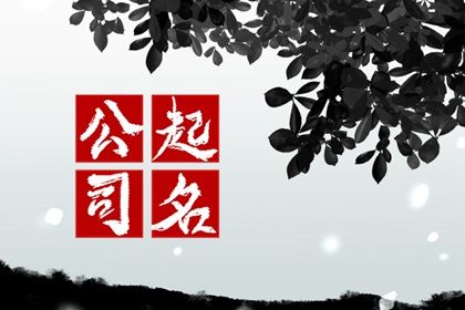 如何给公司起一个吉祥的好名字？(公司免费取名技巧分享)