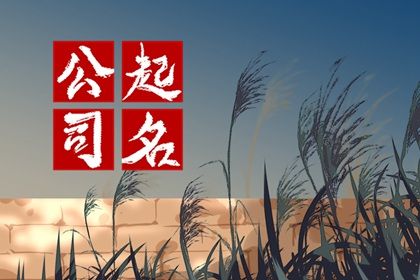 财大气粗的公司名字分享(霸气的公司取名技巧大全)