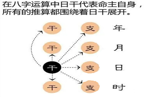 八字命局的组合结构详解