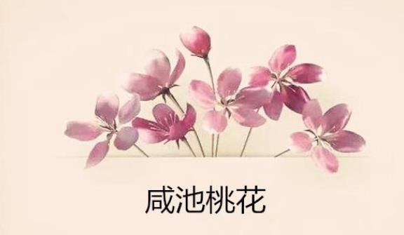 命带咸池桃花的男人好不好