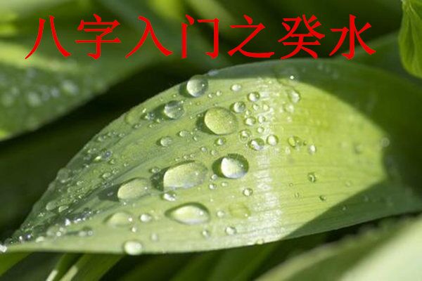 八字入门之癸水日干如何取格局