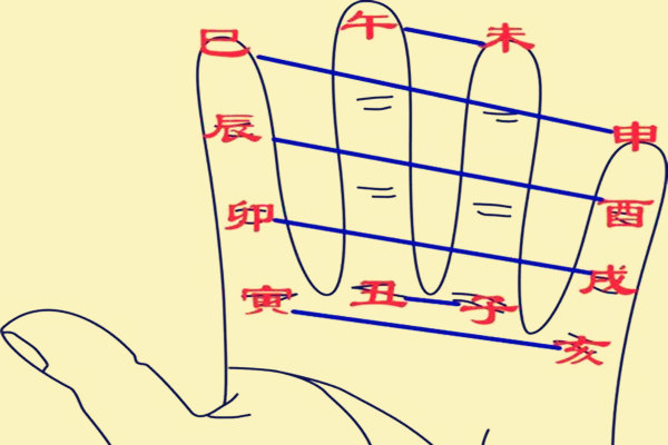 八字地支六合的应用规则