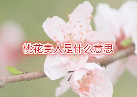 桃花贵人是什么意思