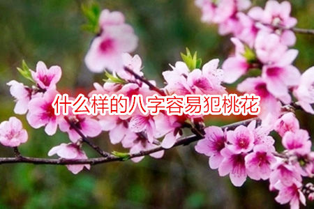 什么样的八字容易犯桃花