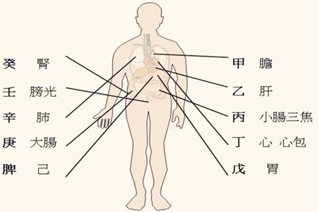 不同八字的人身体怎么样