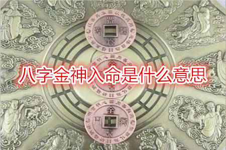 八字金神入命是什么意思