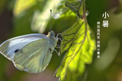 小暑不能同房吗 小暑有什么民间禁忌吗