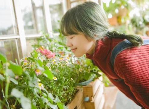 星座男生怎样向女生表白