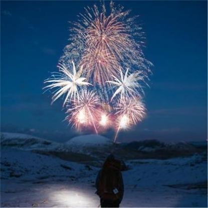 71年属猪男与74虎女今年夫妻缘分,71年属猪男与74虎女今年夫妻运势如何