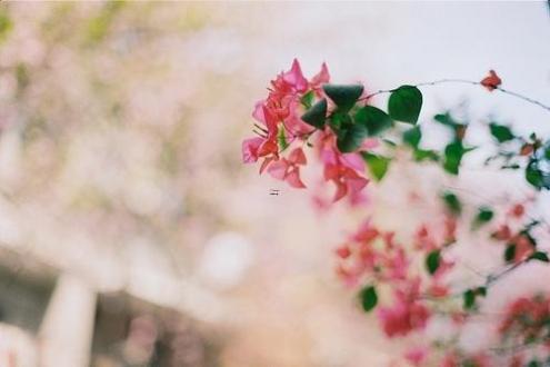 中秋节和端午节哪个在前面