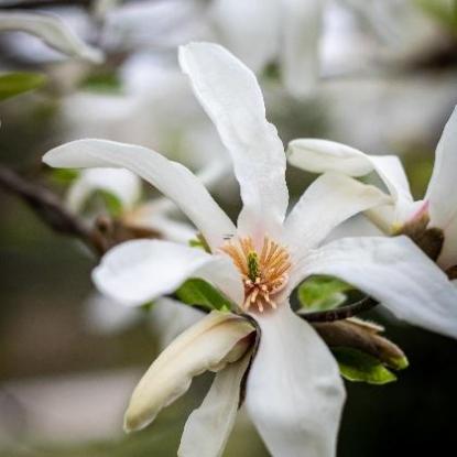 中秋节在每年农历几月几日