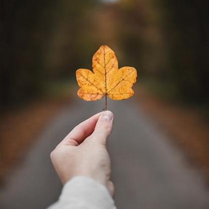 花点时间 高圆圆,花点时间