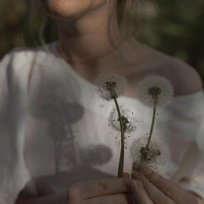 属猪的桃花,属猪的桃花位